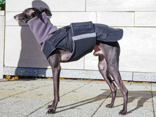 ITALIAN GREYHOUND EXTRA WARM WINTER DOG COAT + NECK WARMER/ MADE TO ORDER