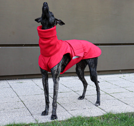 GREYHOUND EXTRA WARM WINTER COAT + NECK WARMER - READY-MADE