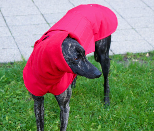 GREYHOUND EXTRA WARM WINTER COAT + NECK WARMER - READY-MADE