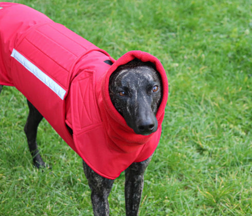 GREYHOUND EXTRA WARM WINTER COAT + NECK WARMER - READY-MADE