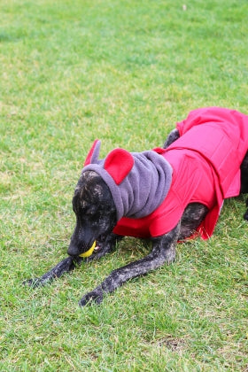 WINTER DOG SNOOD WITH EARS