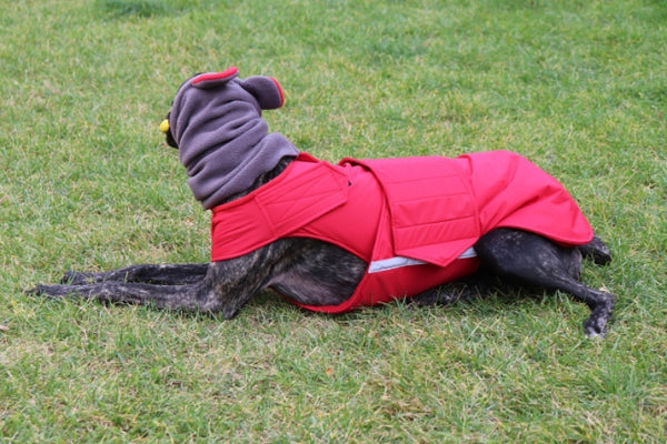 WINTER DOG SNOOD WITH EARS