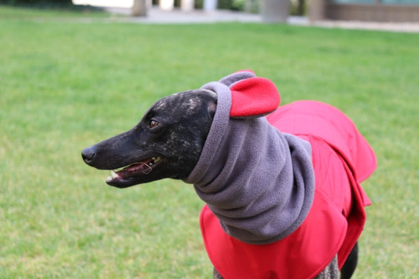 WINTER DOG SNOOD WITH EARS