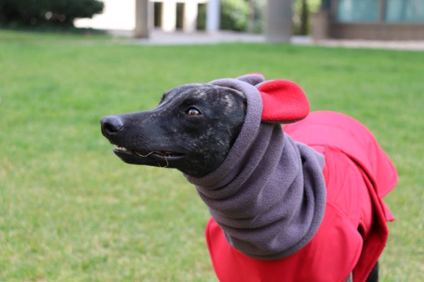 WINTER DOG SNOOD WITH EARS