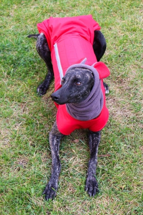 WINTER DOG SNOOD WITH EARS