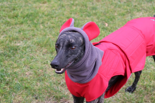 WINTER DOG SNOOD WITH EARS