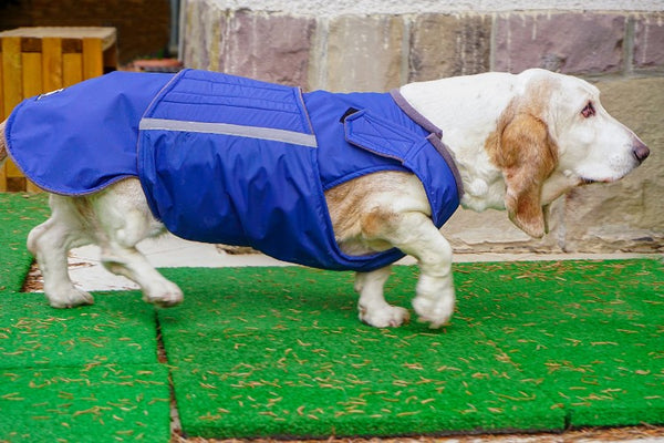 BASSET HOUND WINTER DOG COAT / MADE TO ORDER