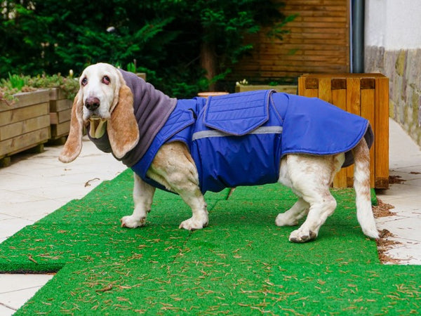 BASSET HOUND WINTER DOG COAT + NECK WARMER / MADE TO ORDER