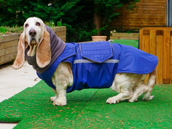 BASSET HOUND WINTER DOG COAT + NECK WARMER / MADE TO ORDER