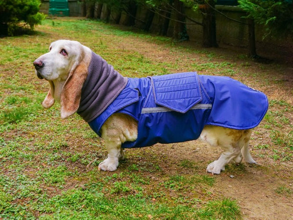 BASSET HOUND WINTER DOG COAT + NECK WARMER / MADE TO ORDER