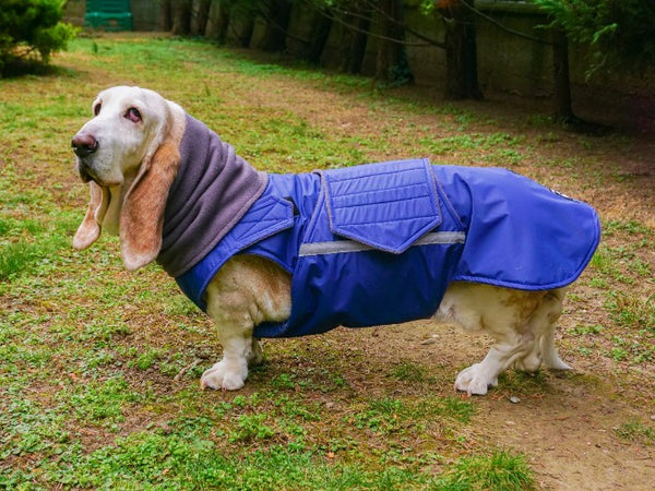 BASSET HOUND WINTER DOG COAT + NECK WARMER / MADE TO ORDER