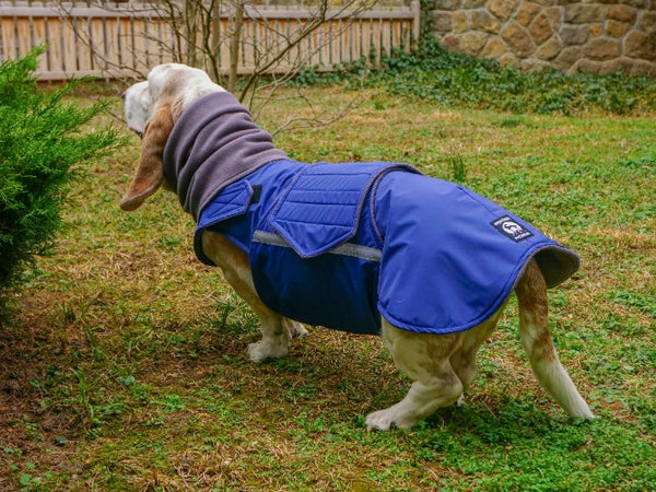 BASSET HOUND RAINCOAT + NECK WARMER / MADE TO ORDER