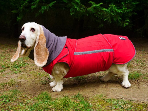 BASSET HOUND EXTRA WARM WINTER DOG COAT + NECK WARMER/ MADE TO ORDER