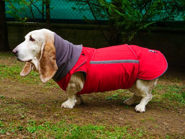 BASSET HOUND EXTRA WARM WINTER DOG COAT + NECK WARMER/ MADE TO ORDER