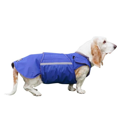 BASSET HOUND WINTER COAT - READY-MADE