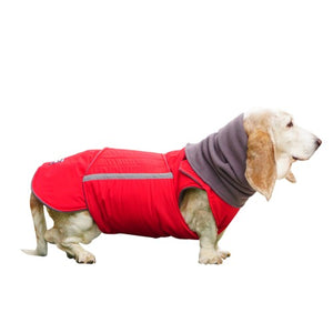 BASSET HOUND EXTRA WARM WINTER DOG COAT + NECK WARMER/ MADE TO ORDER