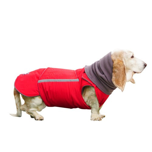 BASSET HOUND EXTRA WARM WINTER DOG COAT + NECK WARMER/ MADE TO ORDER