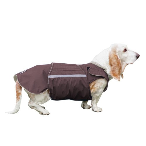 BASSET HOUND WINTER COAT - READY-MADE