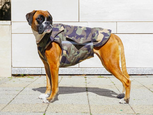 BOXER EXTRA WARM WINTER DOG COAT / MADE TO ORDER