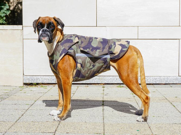 BOXER EXTRA WARM WINTER DOG COAT / MADE TO ORDER