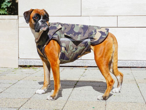 BOXER EXTRA WARM WINTER DOG COAT / MADE TO ORDER