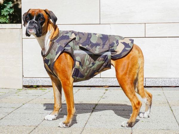 BOXER EXTRA WARM WINTER DOG COAT / MADE TO ORDER