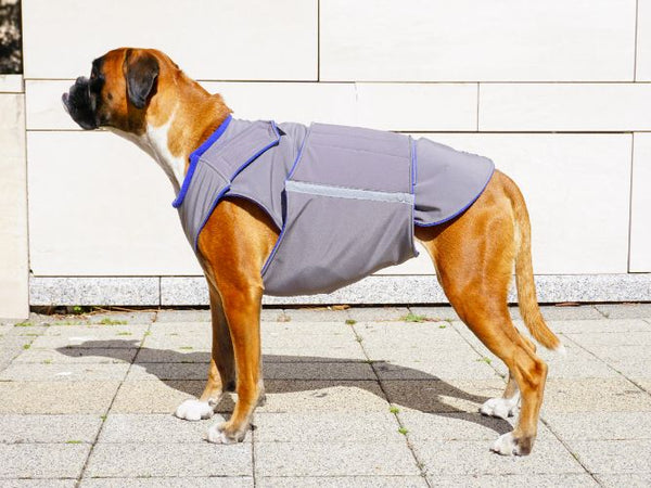 BOXER SOFTSHELL DOG COAT - READY-MADE