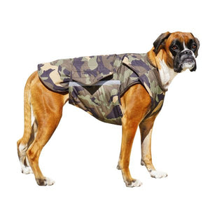 BOXER EXTRA WARM WINTER DOG COAT / MADE TO ORDER