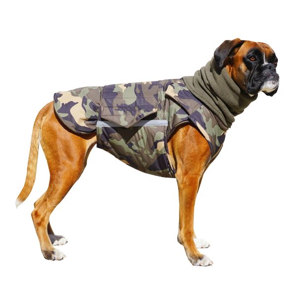 BOXER EXTRA WARM WINTER DOG COAT + NECK WARMER/ MADE TO ORDER