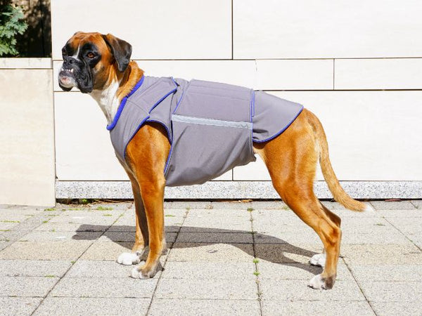 BOXER SOFTSHELL DOG COAT - READY-MADE