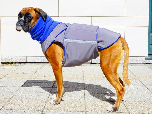 BOXER SOFTSHELL DOG COAT + NECK WARMER - READY-MADE