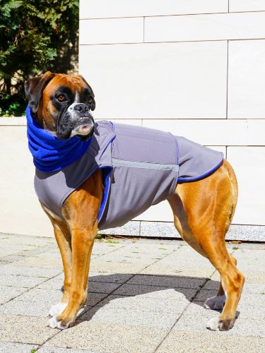 BOXER SOFTSHELL DOG COAT + NECK WARMER - READY-MADE