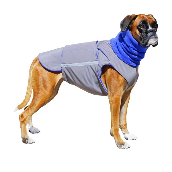 BOXER SOFTSHELL DOG COAT + NECK WARMER / MADE TO ORDER