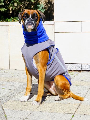 BOXER SOFTSHELL DOG COAT + NECK WARMER / MADE TO ORDER