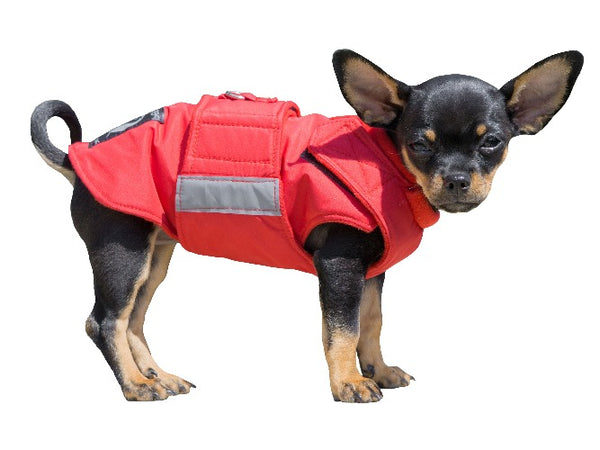 CHIHUAHUA WINTER DOG COAT / MADE TO ORDER