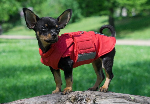 CHIHUAHUA EXTRA WARM WINTER DOG COAT / MADE TO ORDER
