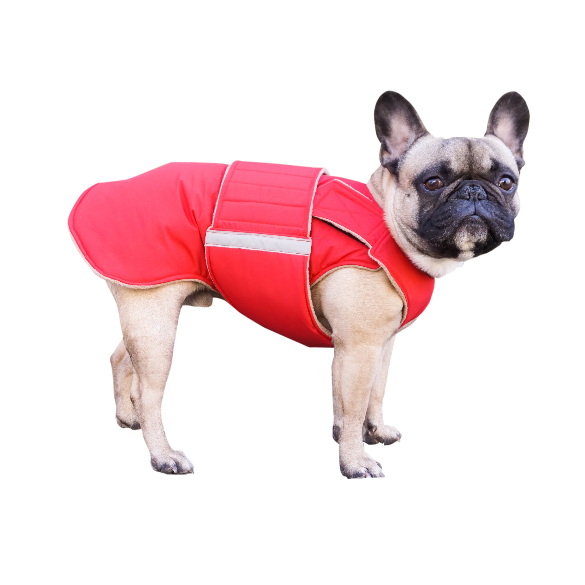 FRENCH BULLDOG EXTRA WARM WINTER DOG COAT / MADE TO ORDER