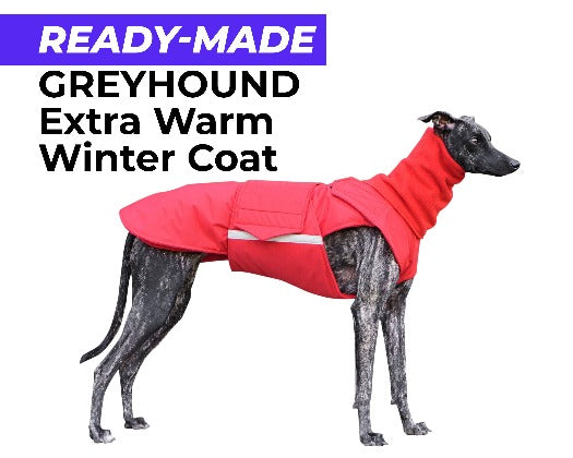 GREYHOUND EXTRA WARM WINTER COAT + NECK WARMER - READY-MADE