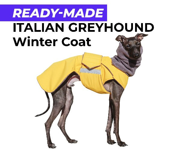 ITALIAN GREYHOUND WINTER COAT + NECK WARMER - READY-MADE