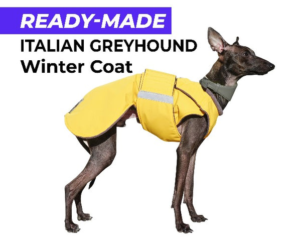ITALIAN GREYHOUND WINTER COAT - READY-MADE