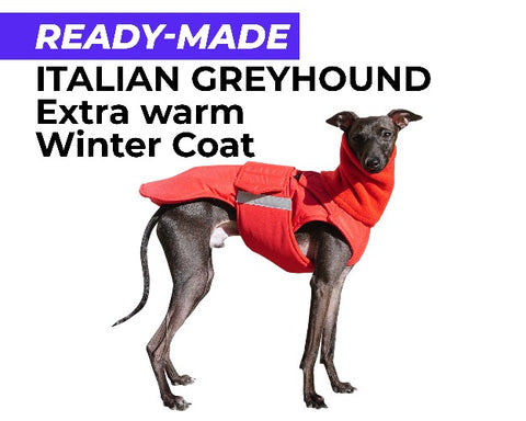 ITALIAN GREYHOUND EXTRA WARM WINTER COAT + NECK WARMER - READY-MADE