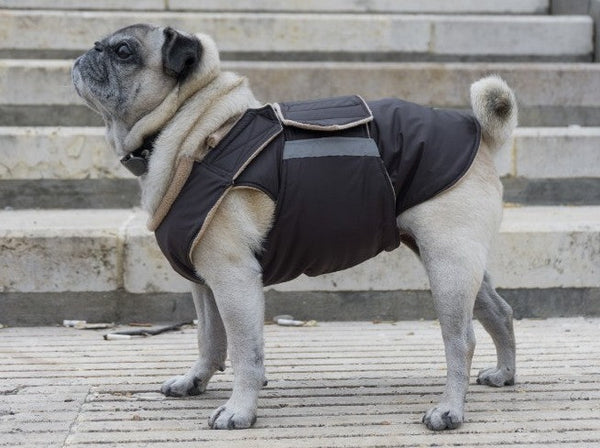 PUG EXTRA WARM WINTER COAT - READY-MADE