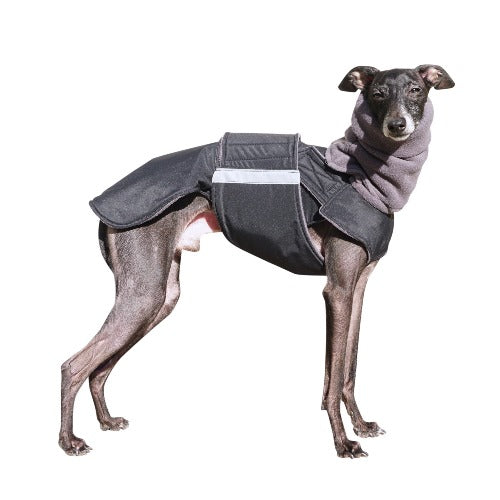 ITALIAN GREYHOUND WINTER DOG COAT + NECK WARMER / MADE TO ORDER