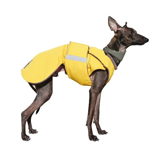 ITALIAN GREYHOUND DOG RAINCOAT / MADE TO ORDER