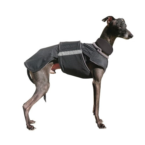 ITALIAN GREYHOUND WINTER DOG COAT / MADE TO ORDER