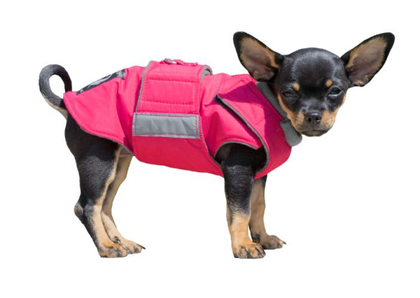 CHIHUAHUA DOG RAINCOAT / MADE TO ORDER