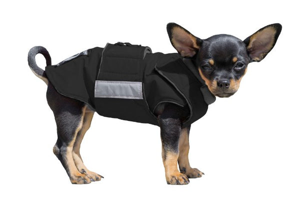 CHIHUAHUA WINTER DOG COAT / MADE TO ORDER