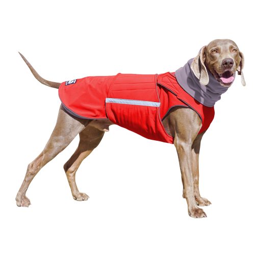 WEIMARANER SOFTSHELL DOG COAT + NECK WARMER- READY-MADE