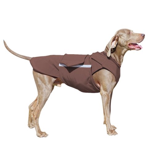 WEIMARANER SOFTSHELL DOG COAT - READY-MADE