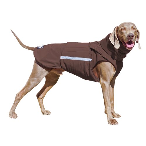 WEIMARANER SOFTSHELL DOG COAT + NECK WARMER- READY-MADE